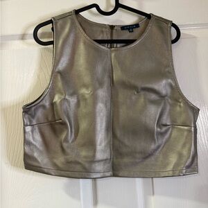 Metallic Silver Crop Top